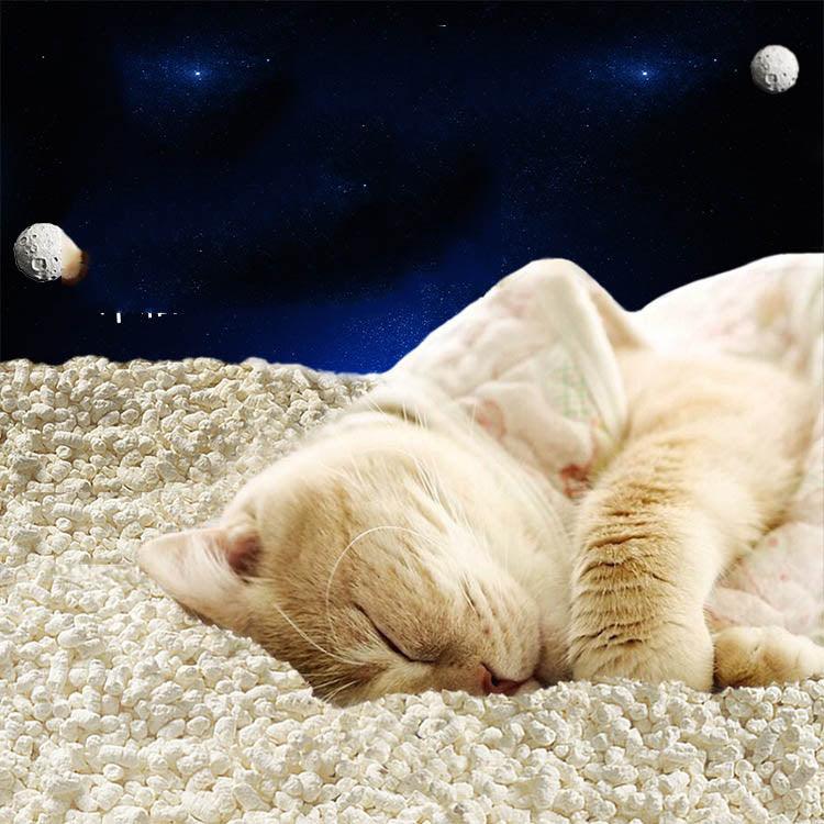 Tofu Fresh Scented Space Litter Dog Hugs Cat
