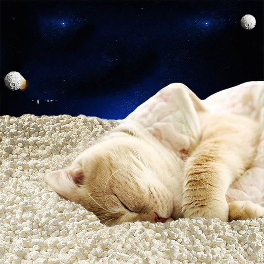Tofu Fresh Scented Space Litter Dog Hugs Cat