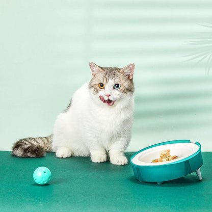 Replaceable Eco-Friendly Cat And Dog Food Bowl Set - The Freshfeed Dog Hugs Cat